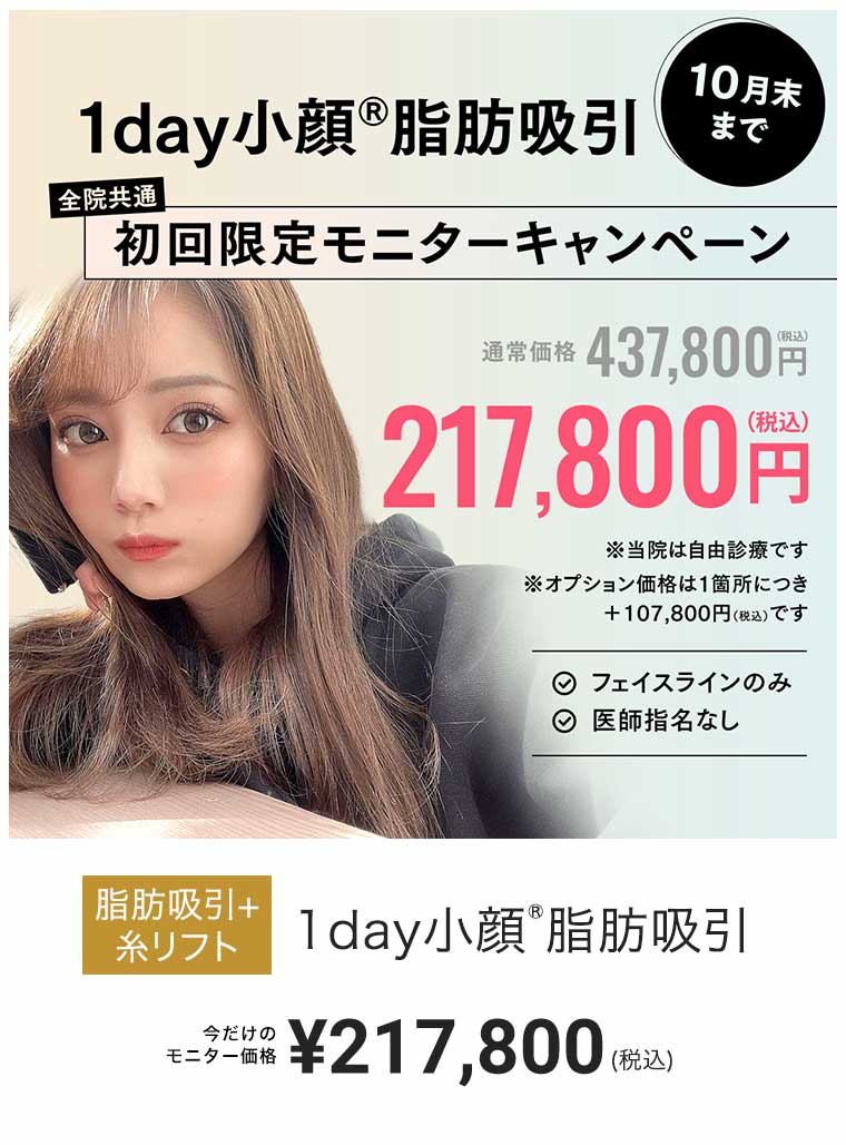 1day小顔脂肪吸引 ¥327,800