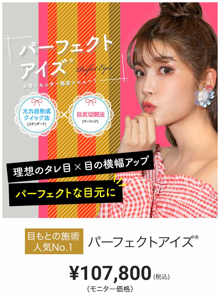 パーフェクトアイズ モニター価格 ¥107,800
