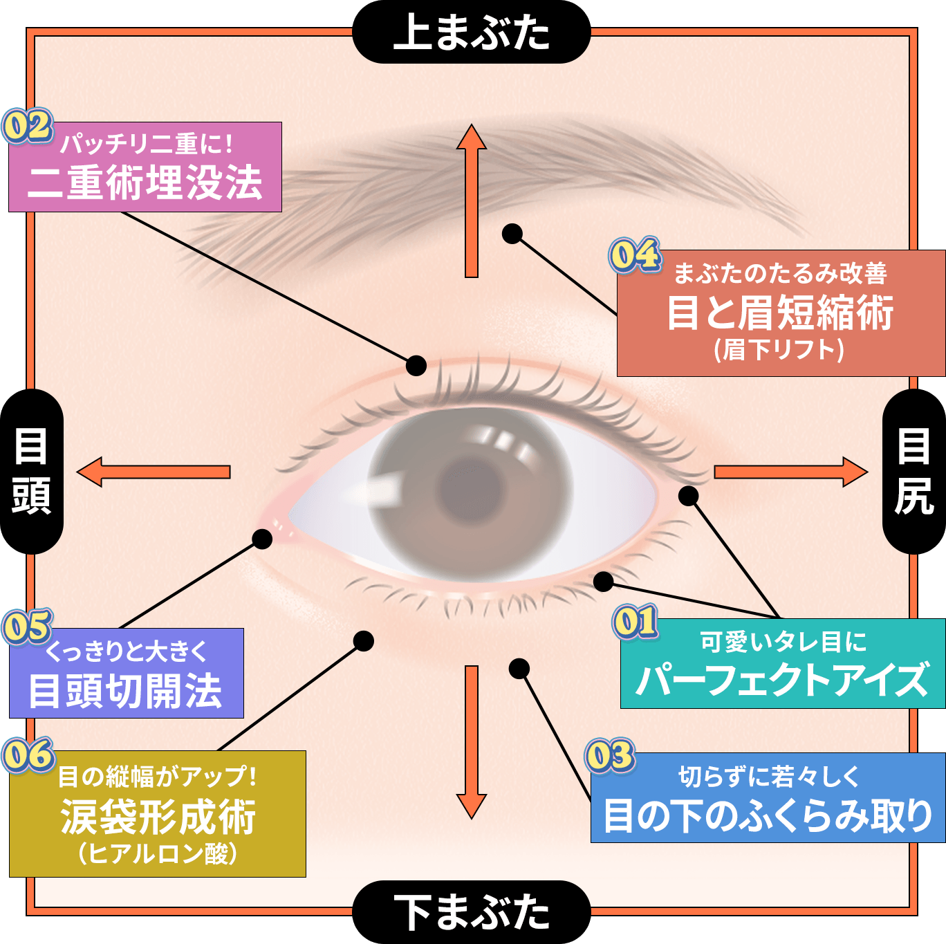 目元のイラストと、各部位に対応した施術名の紹介の図