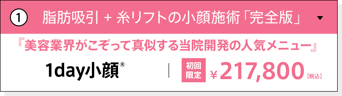 脂肪吸引 + 糸リフトの小顔施術「完全版」美容業界がこぞって真似する当院開発の人気メニュー 1day小顔 初回限定 217,800円（税込）